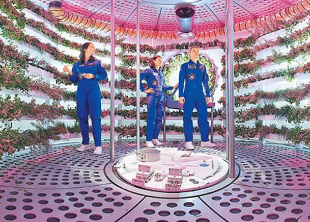 飛船上的水耕種植系統是太空人重要的糧食來源。