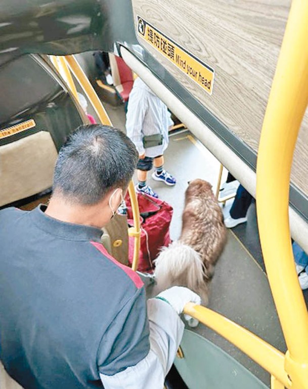 狗狗找不到主人便落車離去。