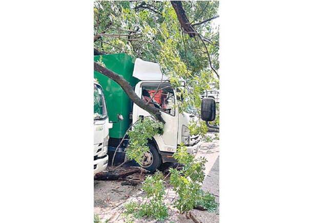 葵涌冧樹砸毀5貨車