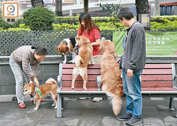 市民使用寵物共享公園時，須清理寵物的排泄物，保持場地清潔衞生。