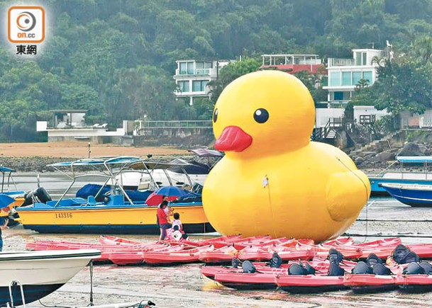 本報揭發相思灣村有人將一隻山寨版巨型黃色吹氣鴨仔違法放到海面。