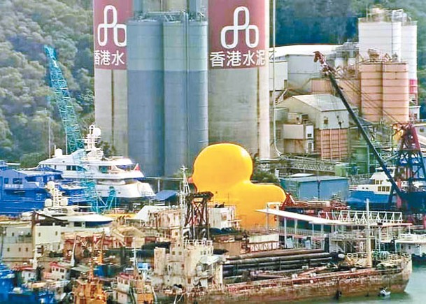 主辦單位指完成充氣的大黃鴨將再次在維港展出。