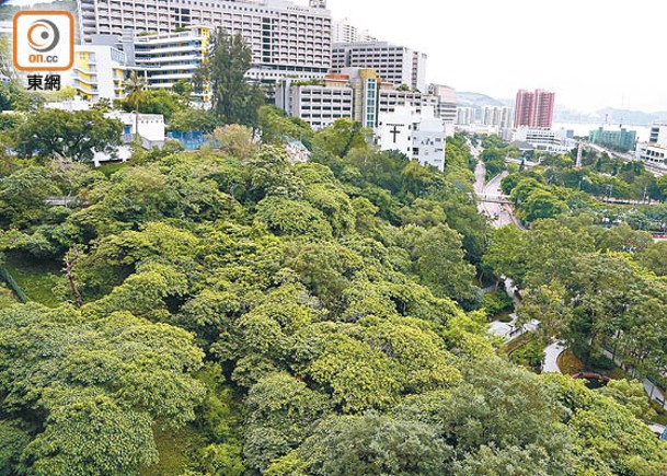 樂建居計劃  多間發展商有意參建