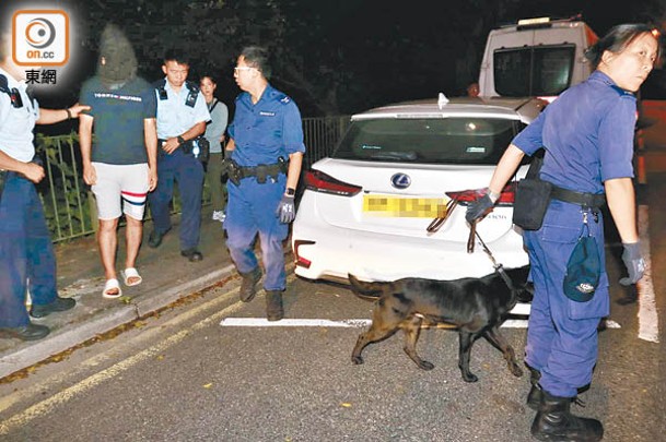 西 貢：緝毒犬協助搜車。（沈厚錚攝）