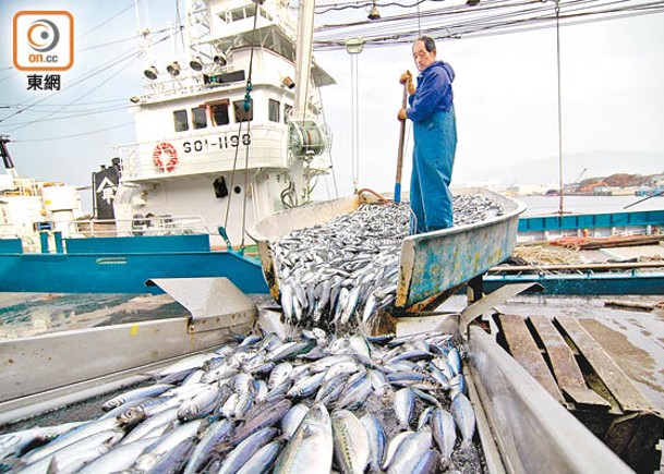 本港專家料政府會加強抽查日本海產。