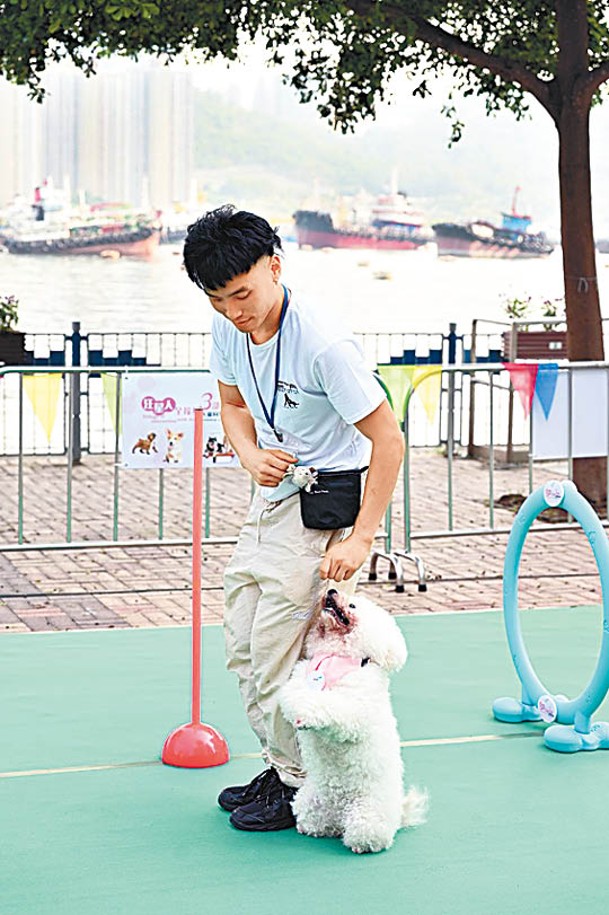 寵物狗隻亦可享受海濱空間。