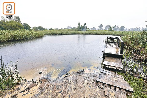 南生圍是其中一個政府增設的濕地保育公園。