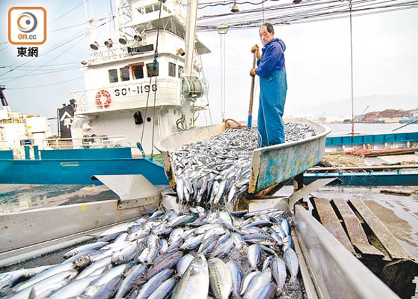 日媒引述消息人士指，港府上月中已加強檢查日本進口水產。