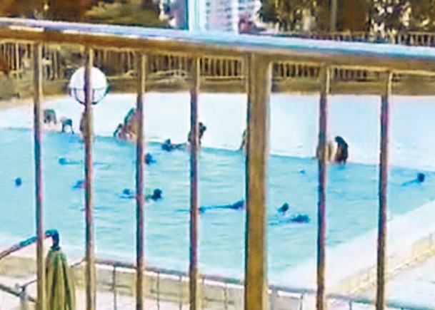大批猴子進駐泳池暢泳，變成猴子水上樂園。