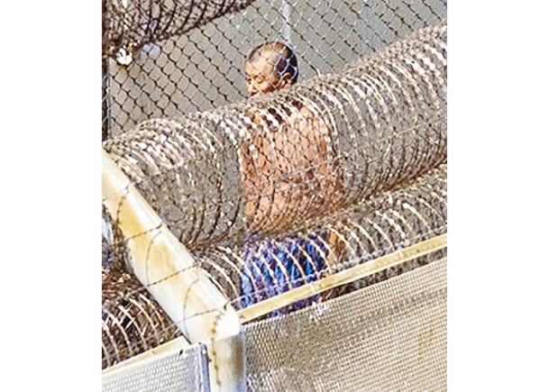 黎智英在獄中脫去上衣，半身赤裸「頭耷耷」散步。（美聯社圖片）