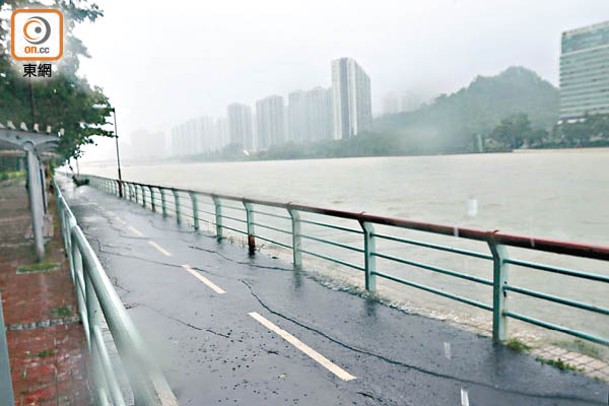 沙田：城門河有河水溢出，湧上單車徑。（張駿勤攝）