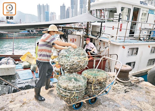 導賞遊當中包括到香港仔魚市場參觀。（甘銘添攝）