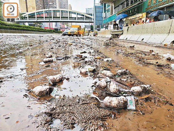 本港多處水浸，災後路面一片狼藉。（陳德賢攝）