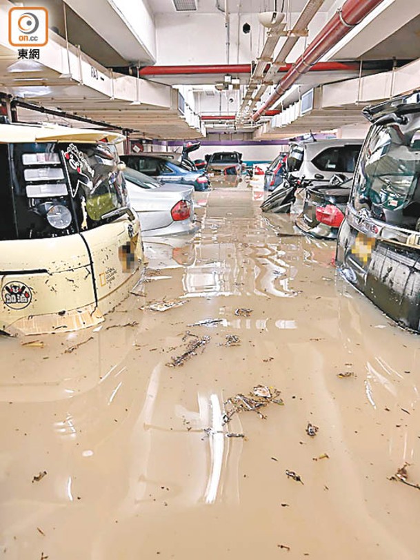 柴灣市政大廈B2層停車場在黑雨期間水浸，共有30多名車主受影響。