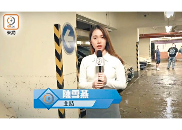 東呼即應  為民發聲  黑雨毀愛驅  車主一殼淚