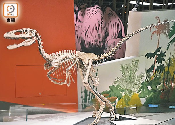 科學館收藏迄今最完整的恐爪龍化石。