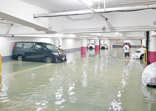 環翠邨停車場水深約半呎。