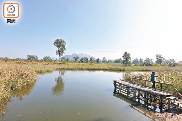 南生圍濕地保育公園疑似走數。