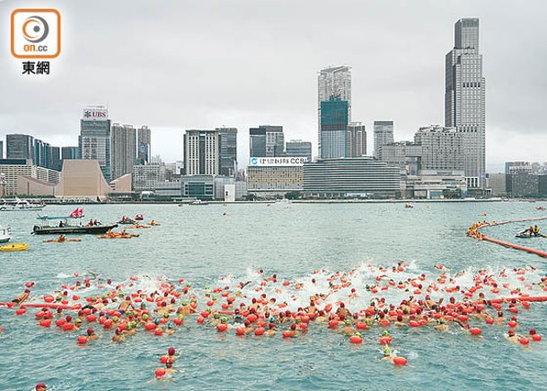 「新世界維港泳」昨晨舉行，大批泳手早上分批落水。（袁志豪攝）