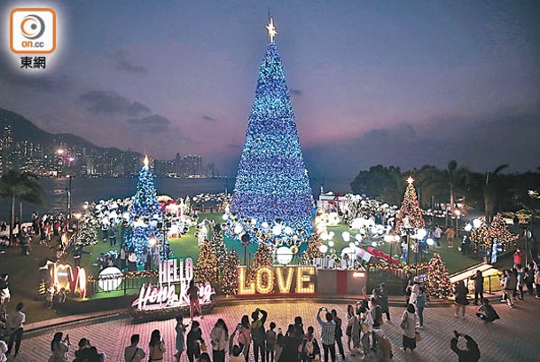 入夜之後巨型聖誕樹會亮起璀璨的光芒。（陳德賢攝）
