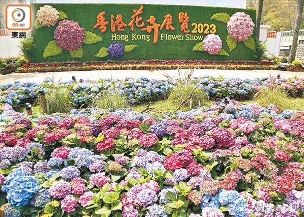 明年香港花卉展覽將於明年3月舉行。