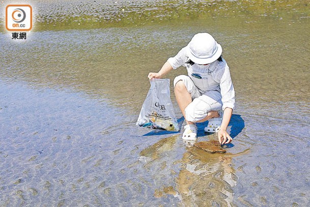 有市民主動清理海洋垃圾。