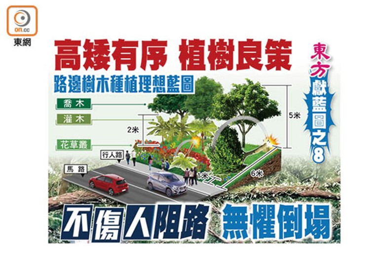 「路邊樹木種植理想藍圖」倡議「高矮有序，植樹良策」。