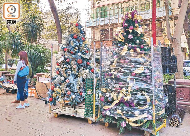 當局推出天然聖誕樹回收計劃。
