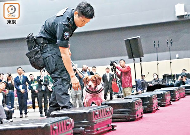 海關狗隻訓練中心開幕  12史賓格跳犬投入搜查工作