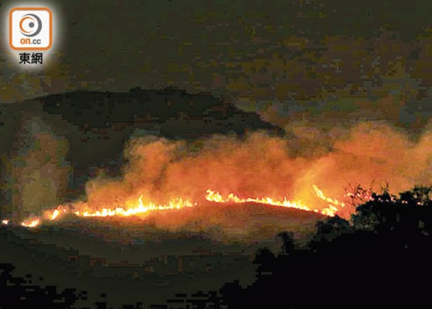 元朗山火火龍延綿過百米。（余宏基攝）