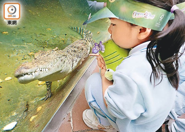 有小朋友表示，很高興可以見到鱷魚。