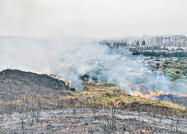 山火2日11宗  籲掃墓勿留火種