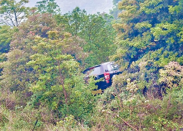 飛鵝山有私家車衝落山坡。