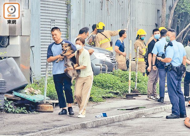 被波及的船廠職員救出愛犬。