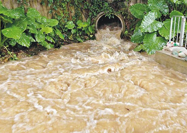 西貢蠔涌村：村落經常因暴雨出現水浸，水渠內的水不斷湧出，令地面出現水浸。
