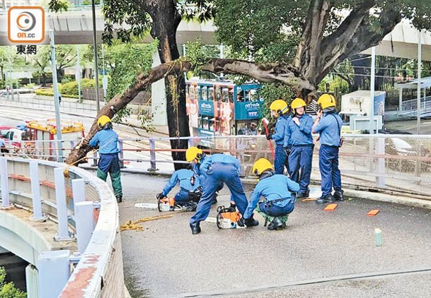 人員用電鋸鋸斷枝幹。