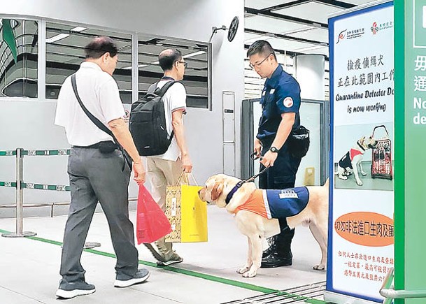 人員帶同檢疫偵緝犬核查入境人士有否違規帶受規管食物。