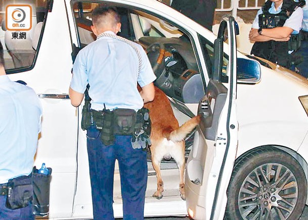 執法人員帶同犬隻搜查私家車。