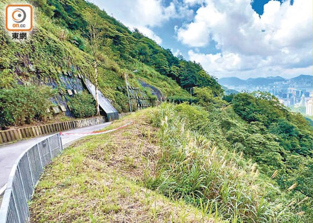 飛鵝山車墮坡  司機蹤杳