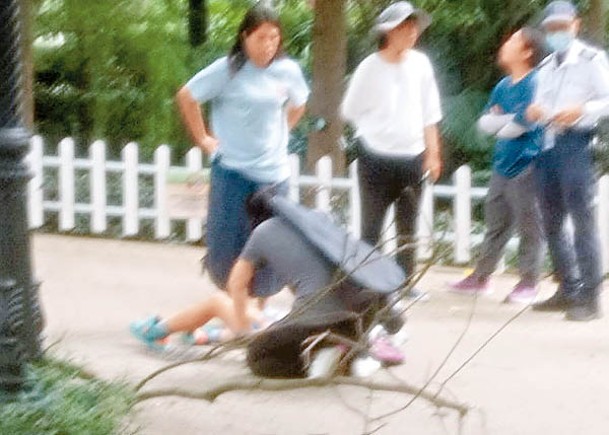 香港公園墮樹枝  11歲仔頭背傷