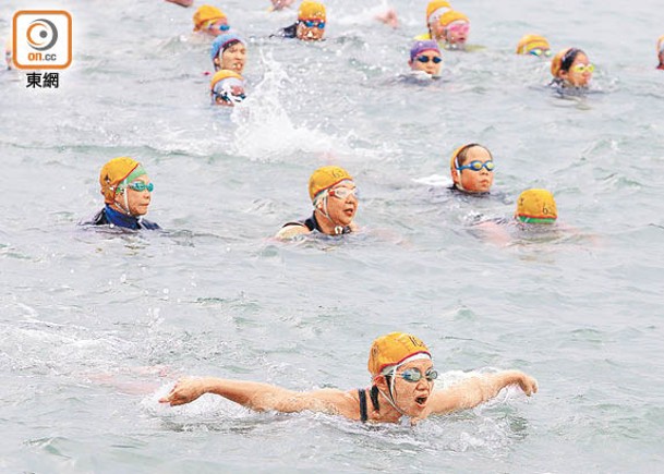 政府表示關注近日泳總爭議事件。