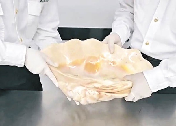 羅湖海關查獲巨型海底貝殼製品。