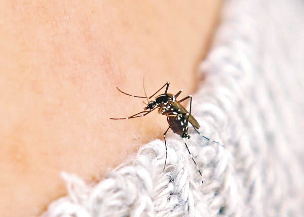蚊子除了會傳播登革熱，還有日本腦炎、瘧疾及寨卡病毒。