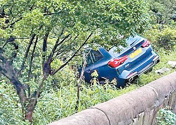 私家車斜擱於山坡草叢。