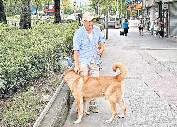 狗狗身上有晶片，表現溫馴。