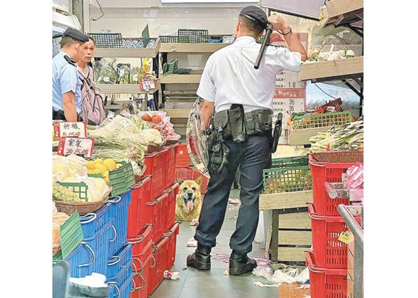 大埔狗闖肉檔店  凍櫃叼貨開餐