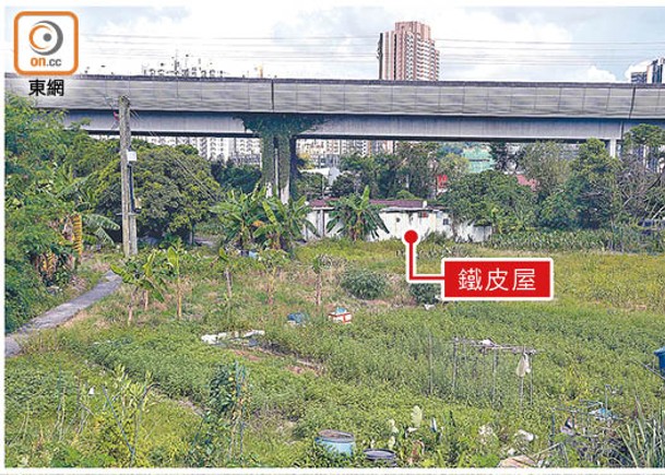 霸官地耕種  蔬果自給自足