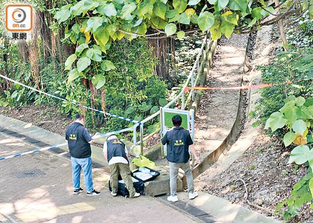 便衣警留遺書吞槍  伏屍木棉下村草地