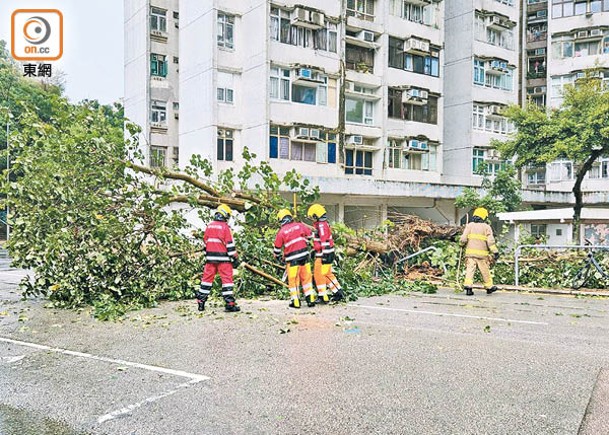 李鄭屋邨冧樹橫亘行車線