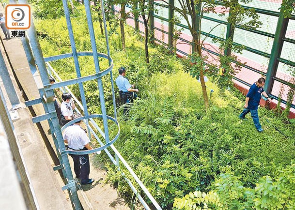 警員在明渠旁的草叢搜證。（馬竟峯攝）